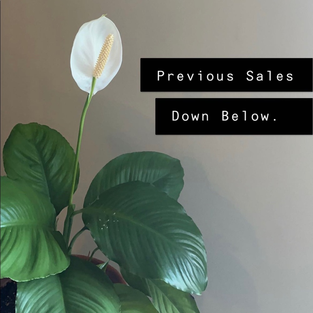 Previous Sales Below